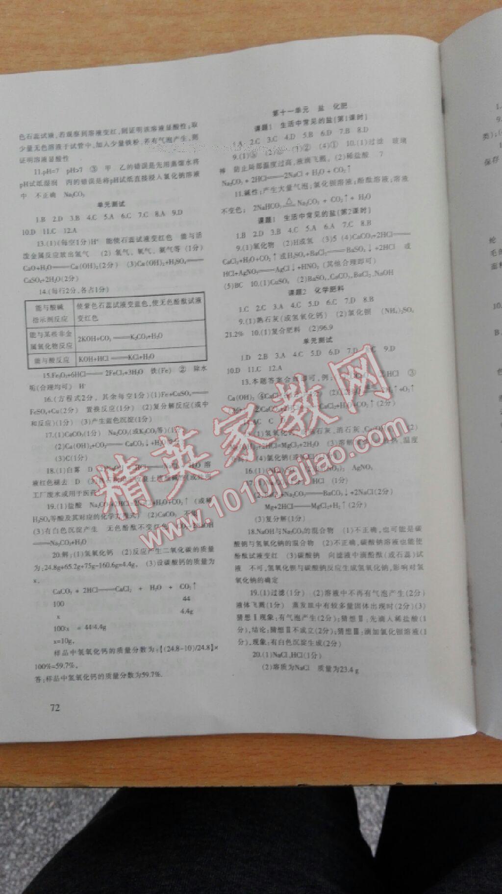 2015年化學(xué)配套綜合練習(xí)九年級下冊人教版 第8頁