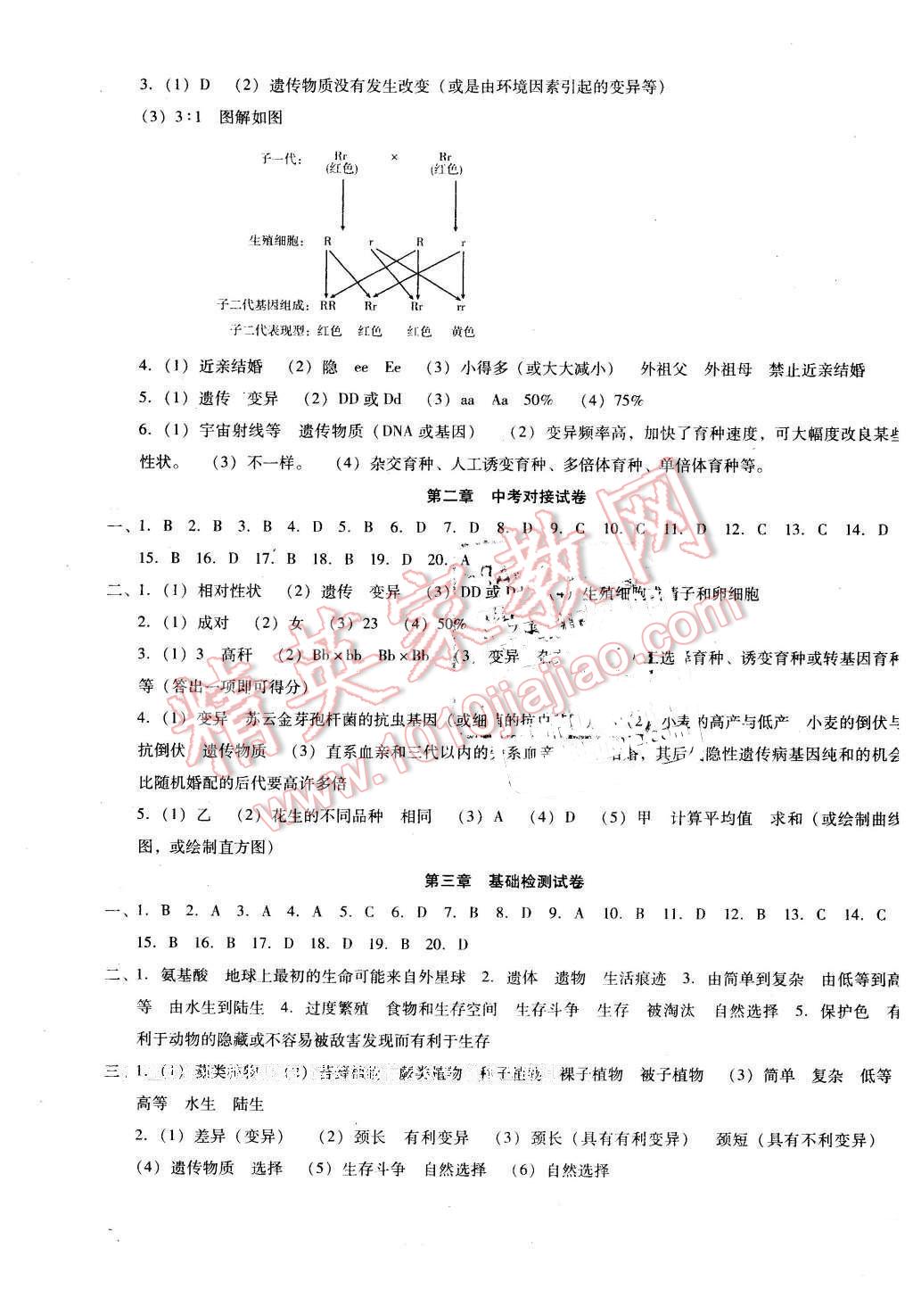 2016年單元加期末復(fù)習(xí)與測試八年級(jí)生物下冊人教版 第3頁