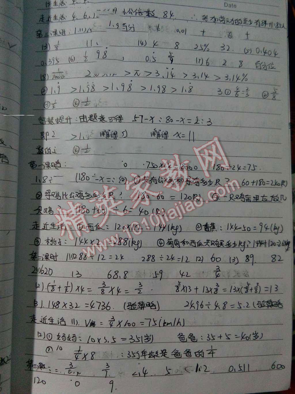 2016年數(shù)學作業(yè)本六年級下冊北師大版江西教育出版社 第7頁