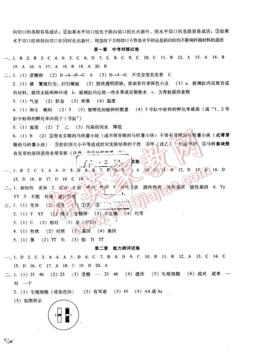 2016年單元加期末復(fù)習(xí)與測試八年級生物下冊人教版 第2頁