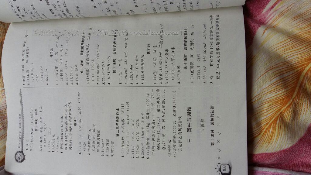 2015年长江作业本同步练习册六年级数学下册人教版 第4页