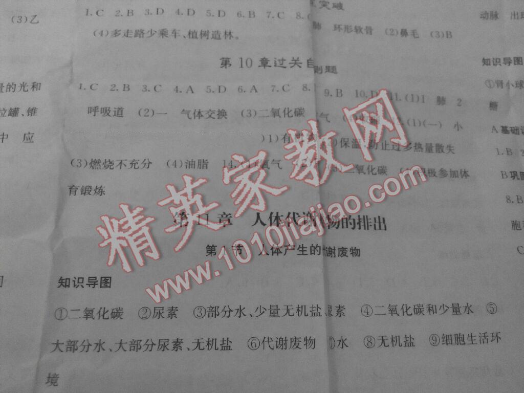 2014年課堂點(diǎn)睛七年級生物下冊人教版 第14頁