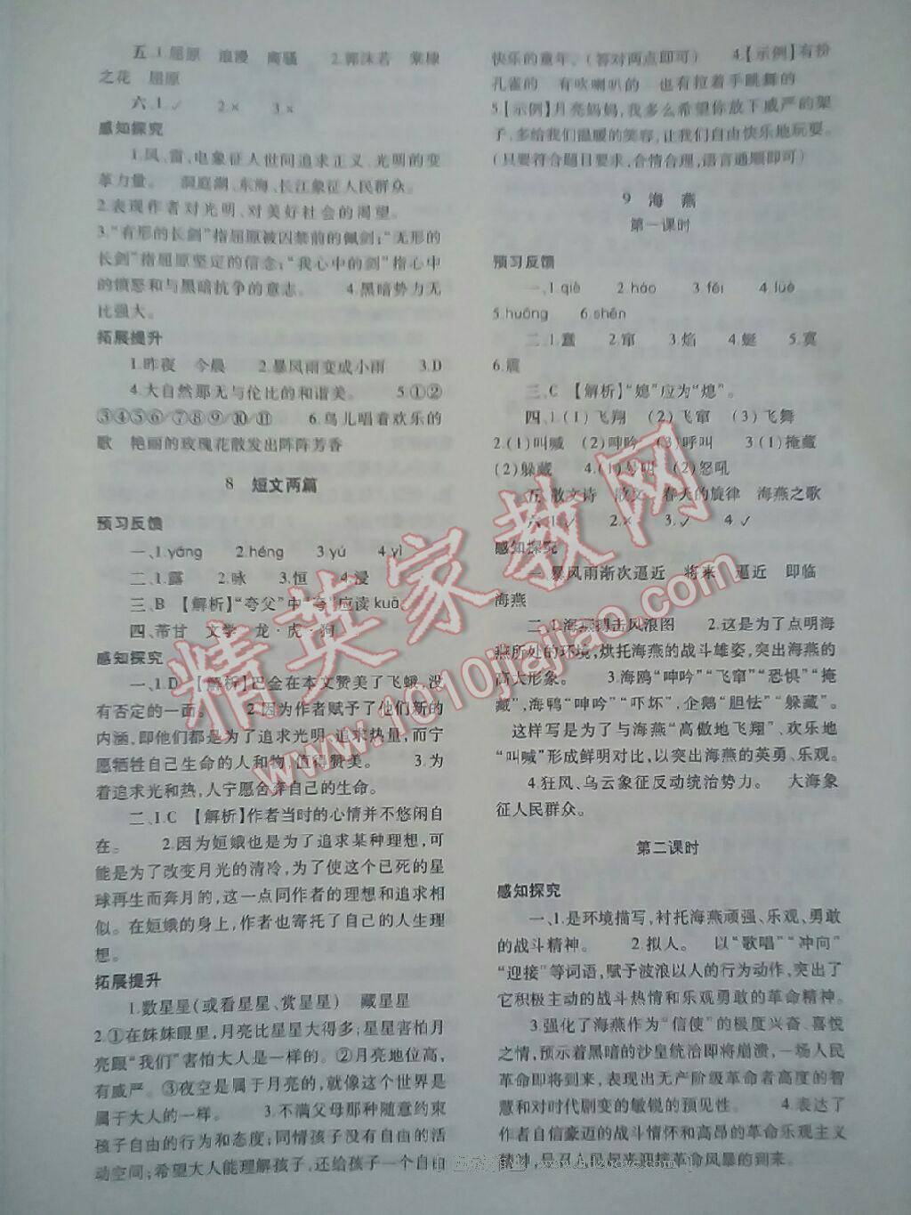 2015年基础训练八年级语文下册人教版河南省内使用 第13页