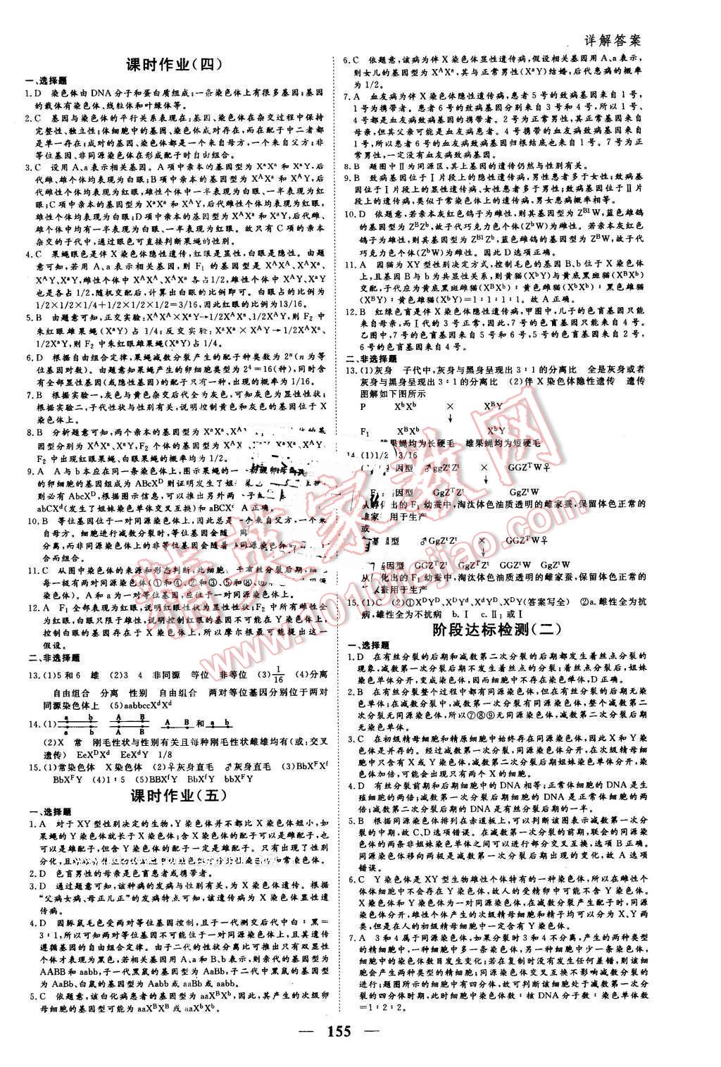 2016年优化探究同步导学案生物必修2人教版 第13页