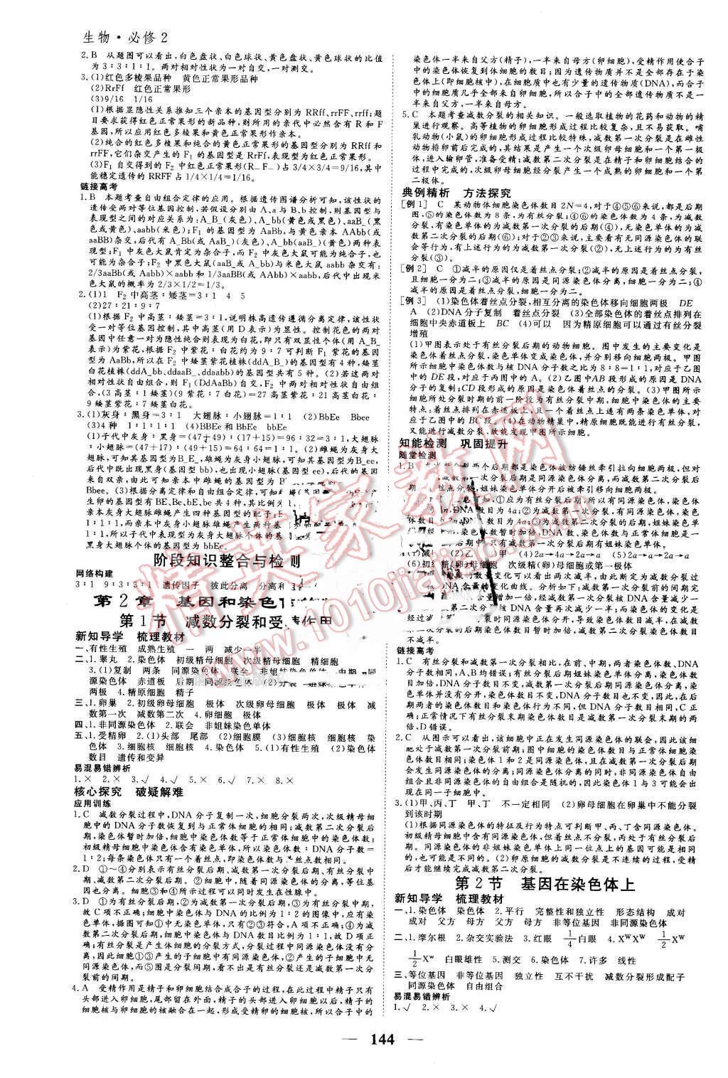 2016年优化探究同步导学案生物必修2人教版 第2页