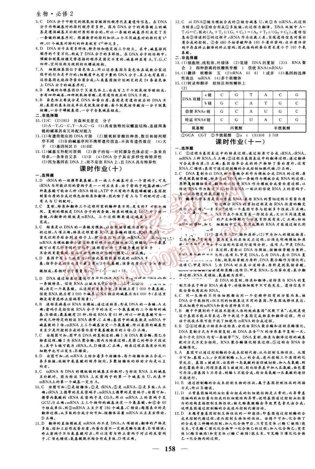 2016年优化探究同步导学案生物必修2人教版 第16页