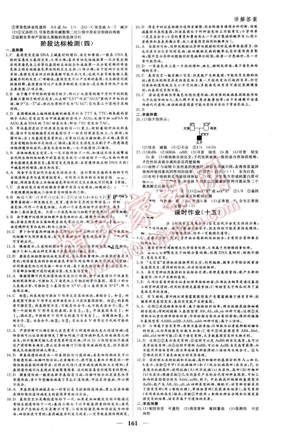 2016年优化探究同步导学案生物必修2人教版 第19页