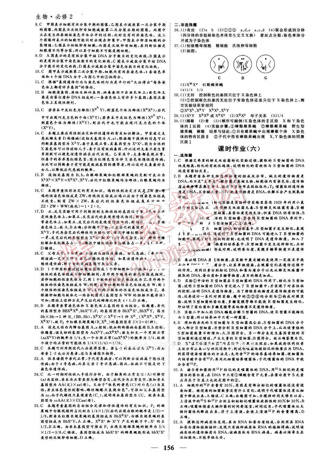 2016年优化探究同步导学案生物必修2人教版 第14页