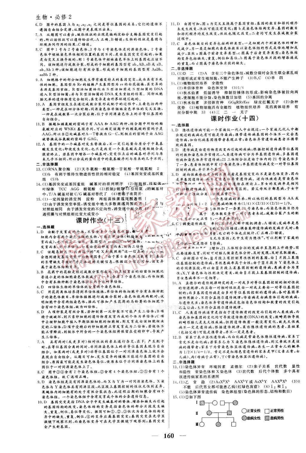 2016年优化探究同步导学案生物必修2人教版 第18页