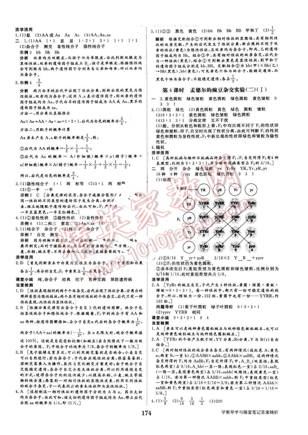 2015年步步高学案导学与随堂笔记生物必修2人教版 第2页