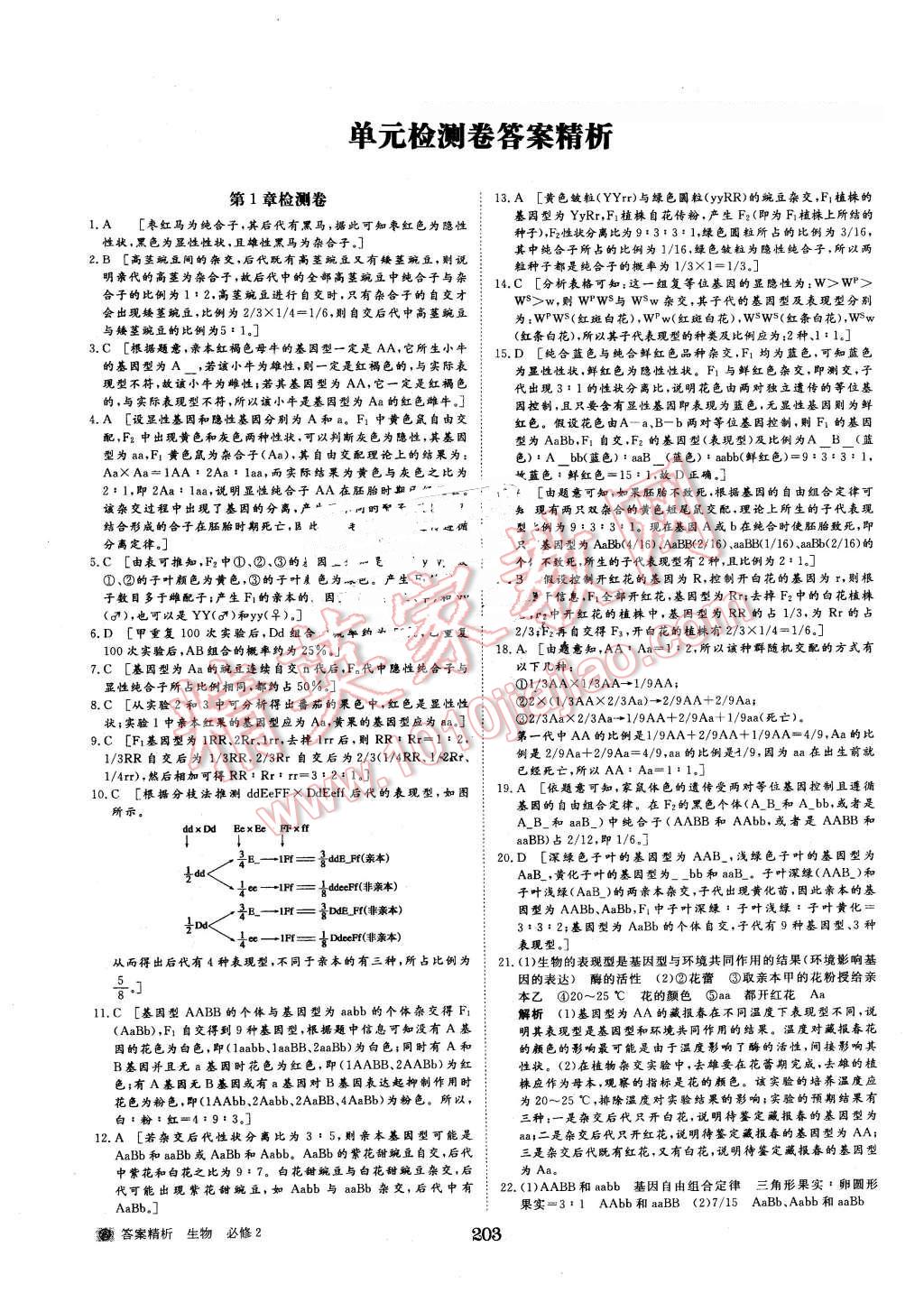 2015年步步高学案导学与随堂笔记生物必修2人教版 第31页