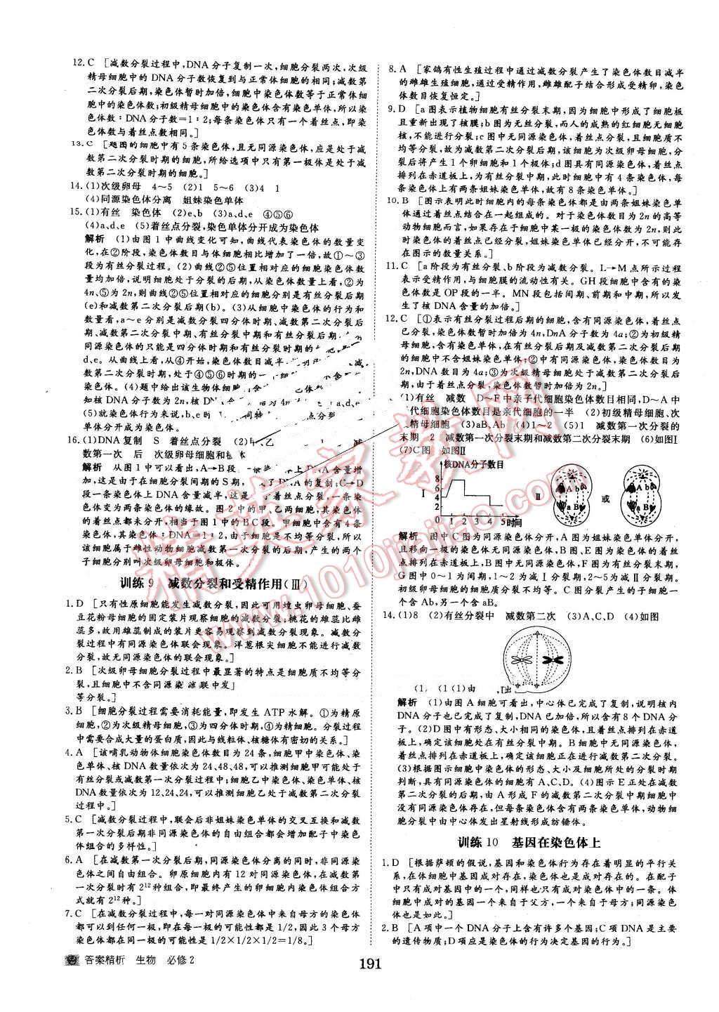 2015年步步高学案导学与随堂笔记生物必修2人教版 第19页