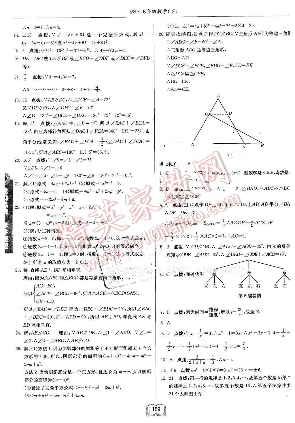 2016年启东中学作业本七年级数学下册北师大版 第31页