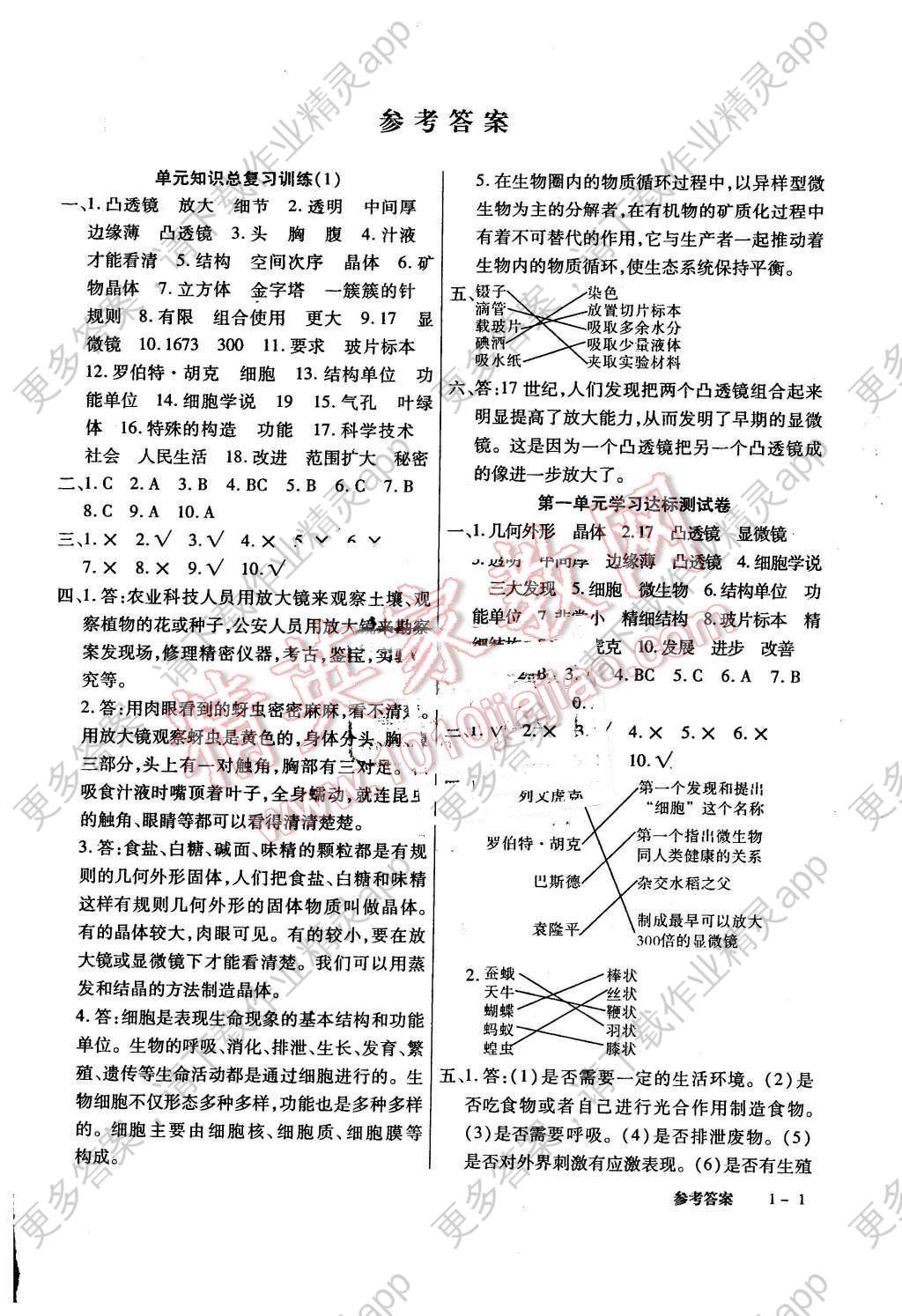 2016年小学综合能力测评科学测试卷六年级下