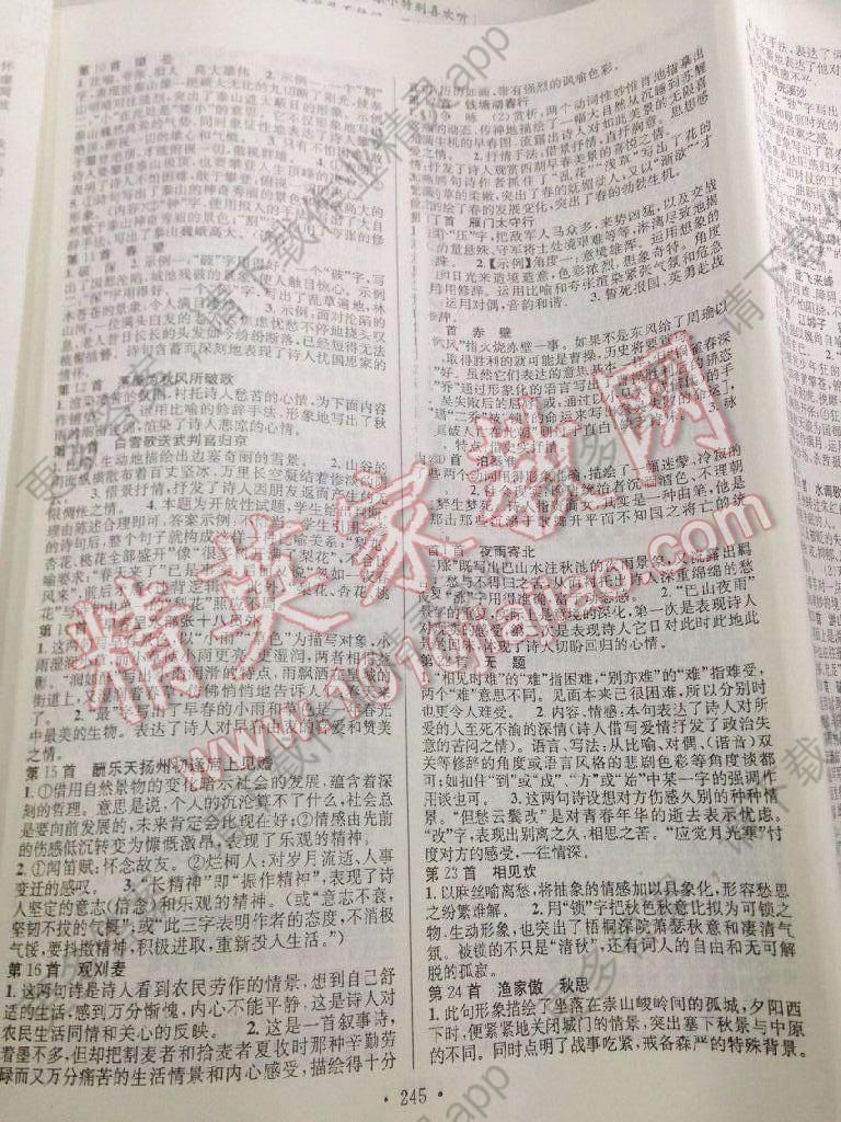 2016年宁夏中考必备宝典掌控中考语文答案精