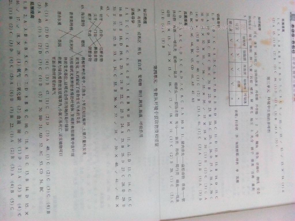 新課程新教材初中生物學習能力自測 第6頁