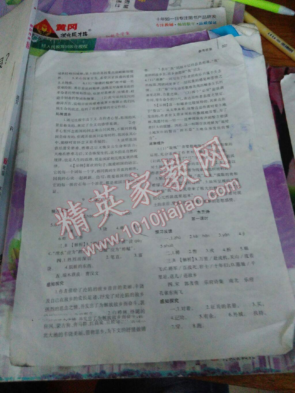 2016年基礎(chǔ)訓(xùn)練七年級(jí)語文下冊人教版河南省內(nèi)使用大象出版社 第7頁