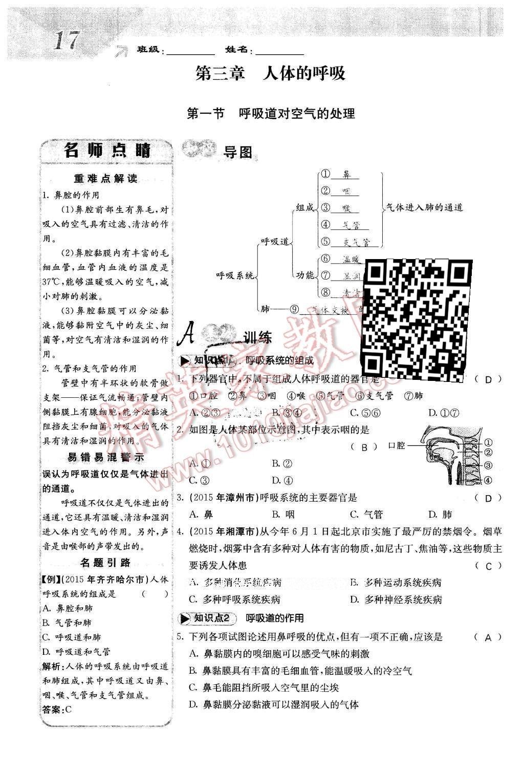 2016年課堂點睛七年級生物下冊人教版 第三章 人體的呼吸第17頁