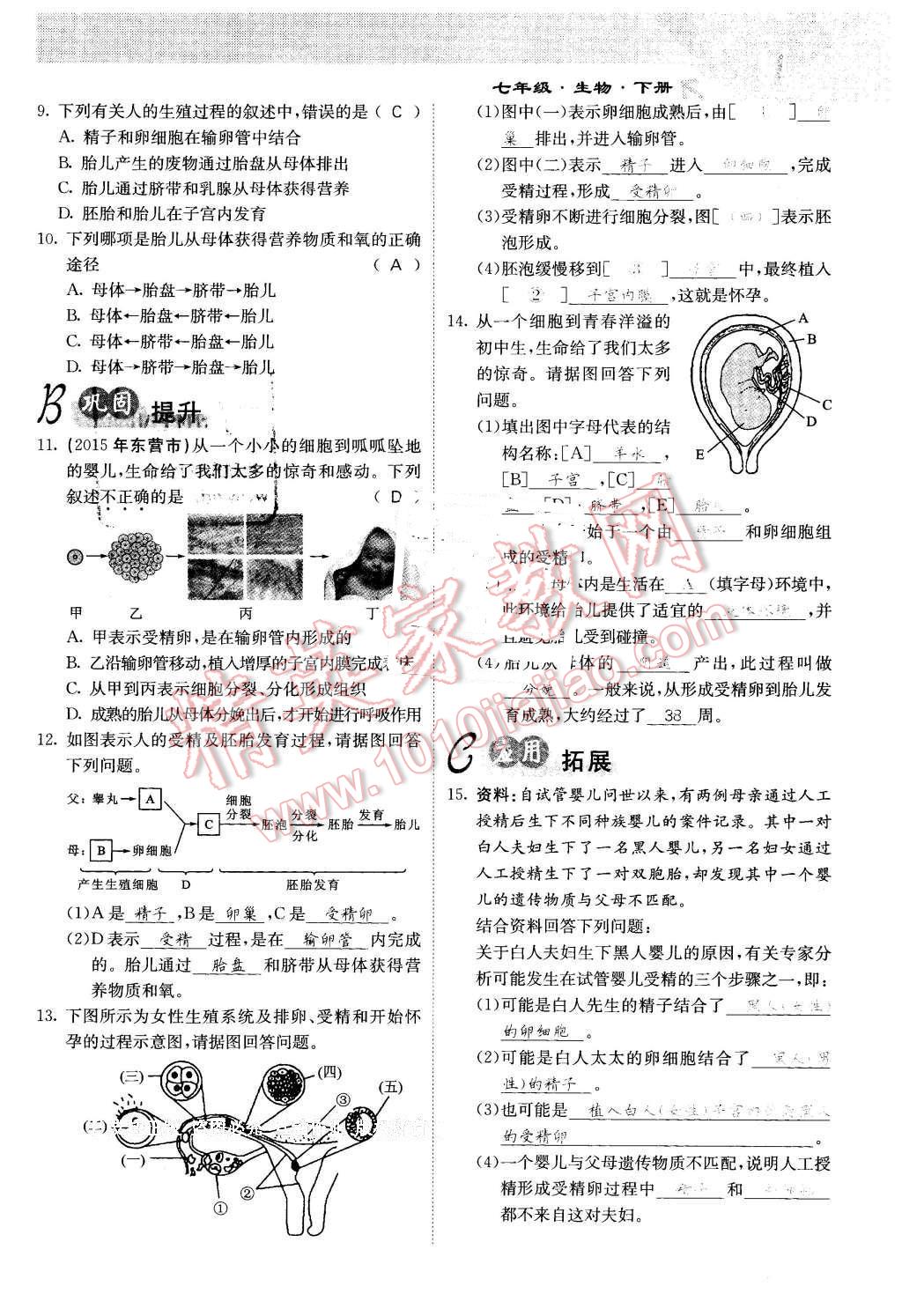 2016年課堂點(diǎn)睛七年級(jí)生物下冊(cè)人教版 第4頁(yè)