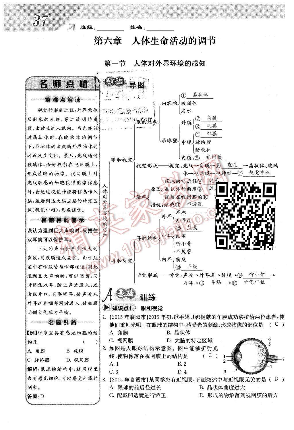 2016年課堂點(diǎn)睛七年級(jí)生物下冊(cè)人教版 第六章 人體生命活動(dòng)的調(diào)節(jié)第37頁(yè)