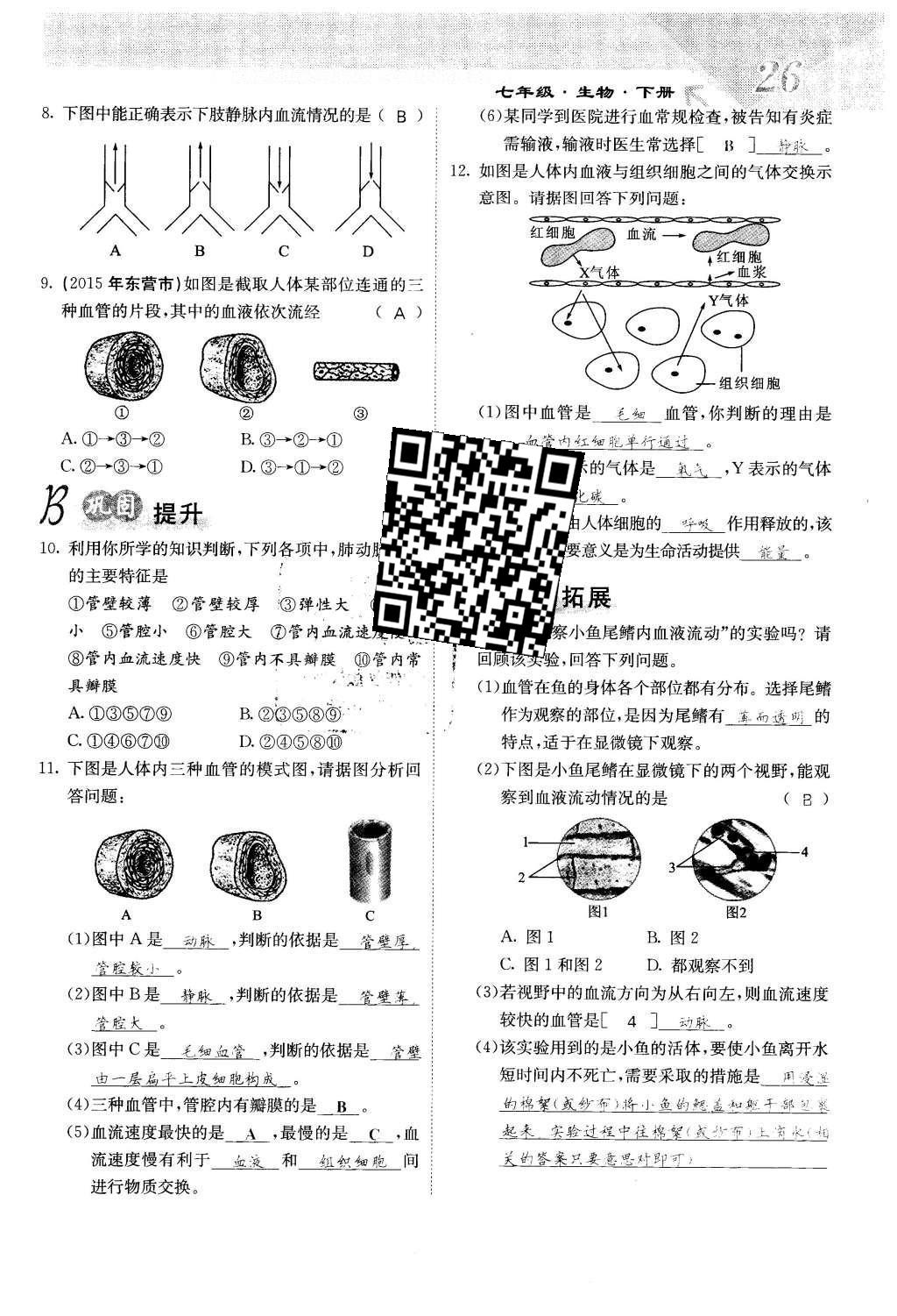 2016年課堂點睛七年級生物下冊人教版 第四章 人體內(nèi)物質(zhì)的運輸?shù)?6頁