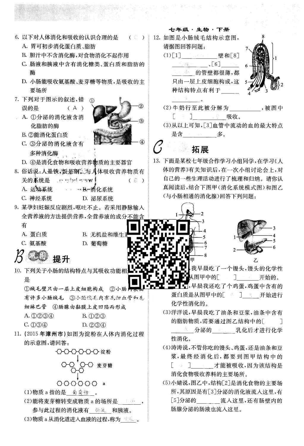 2016年課堂點睛七年級生物下冊人教版 第二章 人體的營養(yǎng)第12頁