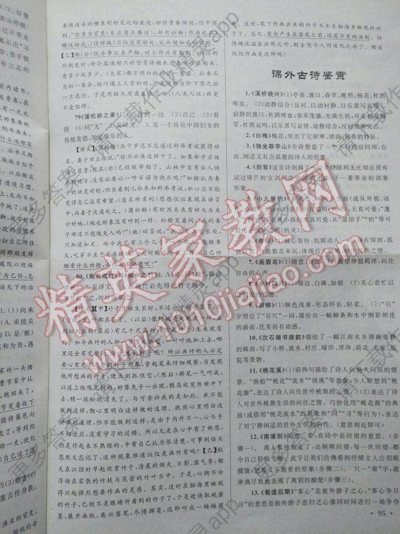 初中新课标阅读文言文课外阅读特训七年级答案