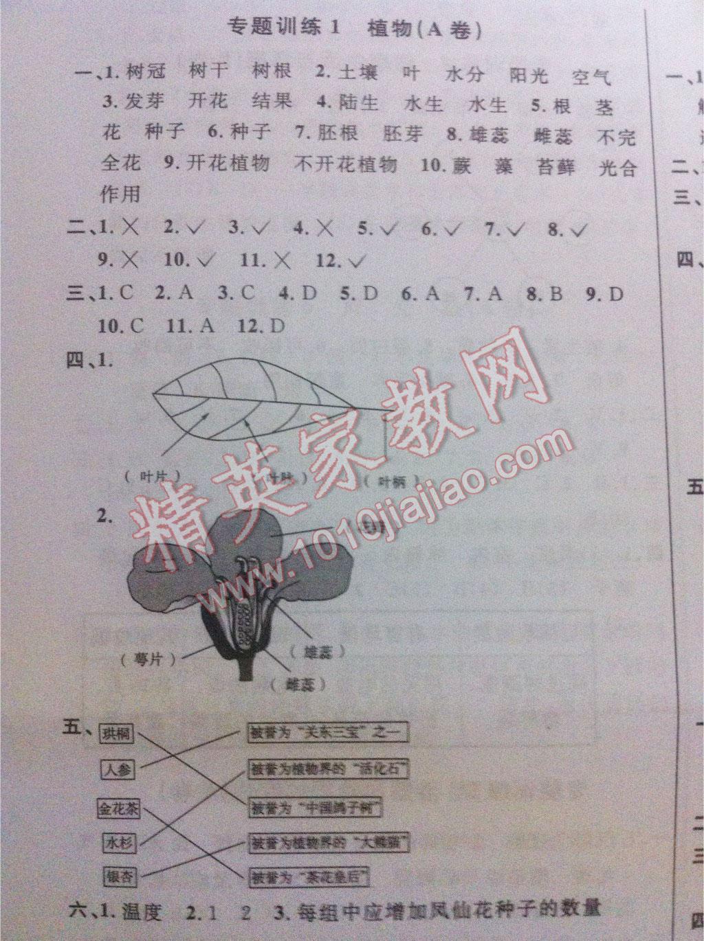 2016年小学毕业升学系统总复习科学 第7页