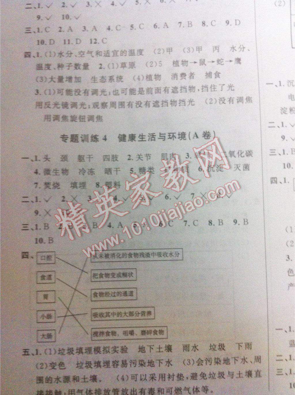 2016年小学毕业升学系统总复习科学 第12页