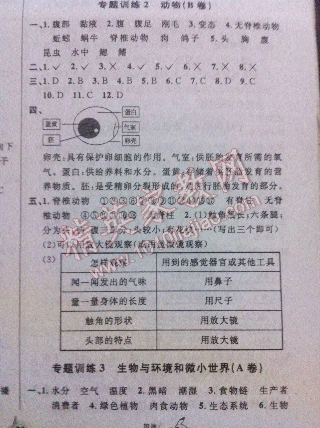 2016年小学毕业升学系统总复习科学 第10页