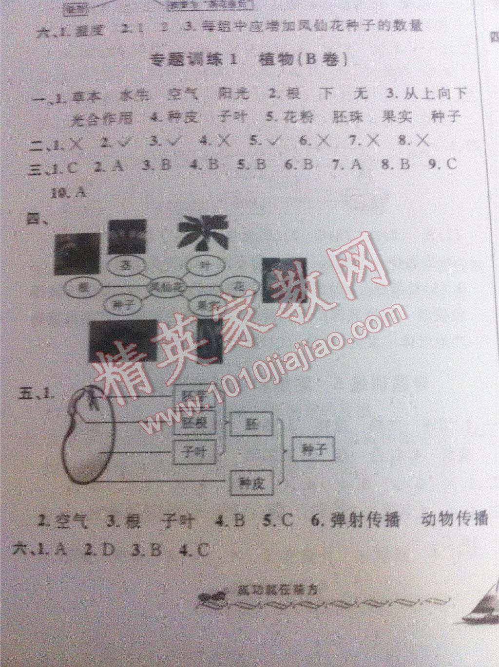 2016年小学毕业升学系统总复习科学 第8页