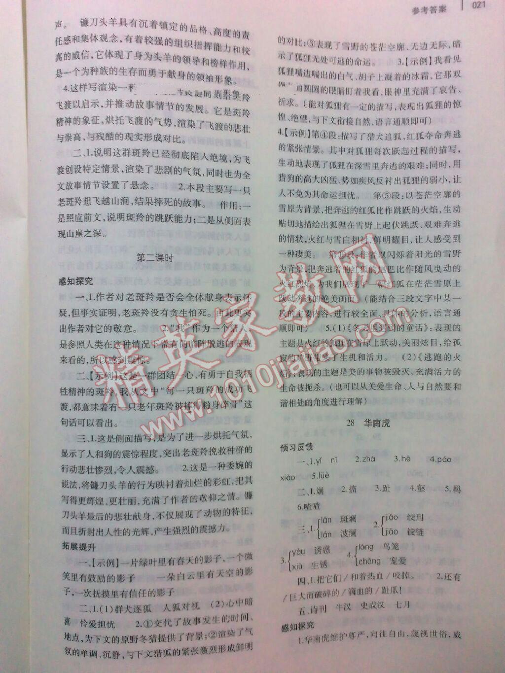 2016年基础训练七年级语文下册人教版河南省内使用 第42页