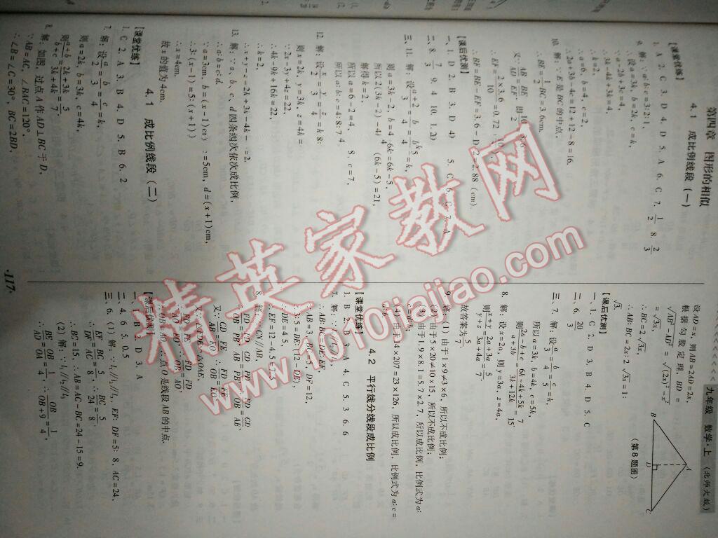 2016年全优点练课计划九年级数学上册北师大版 第13页