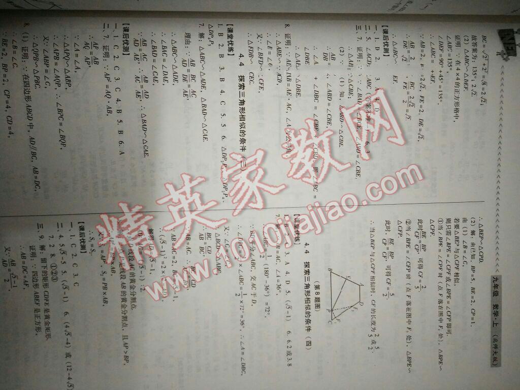 2016年全优点练课计划九年级数学上册北师大版 第11页