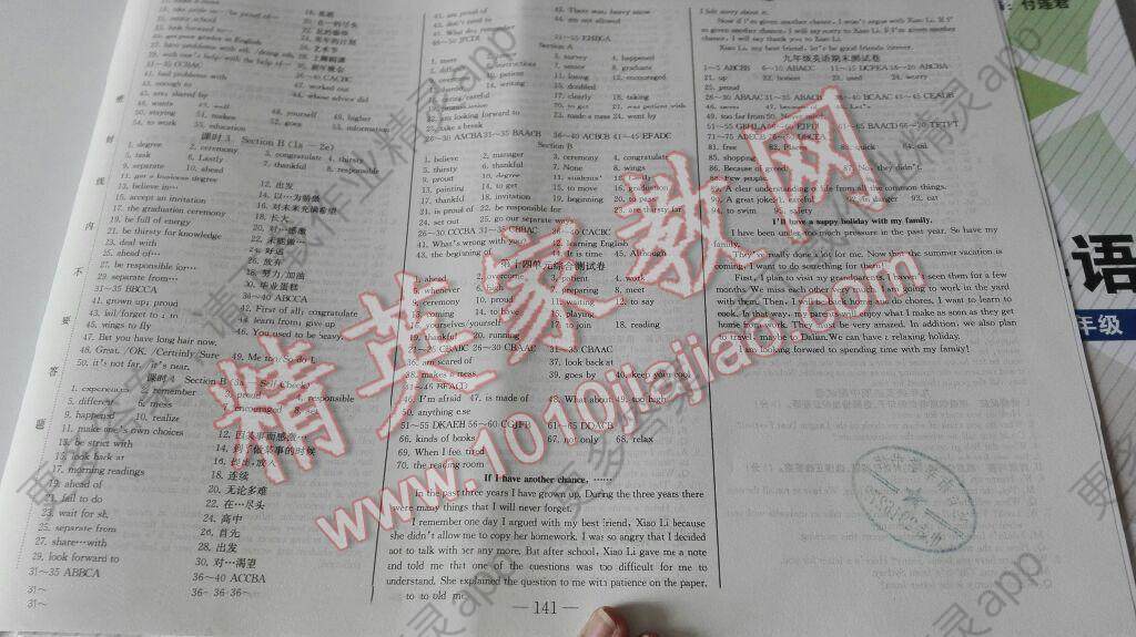 同步优化测试卷一卷通九年级英语人教版答案