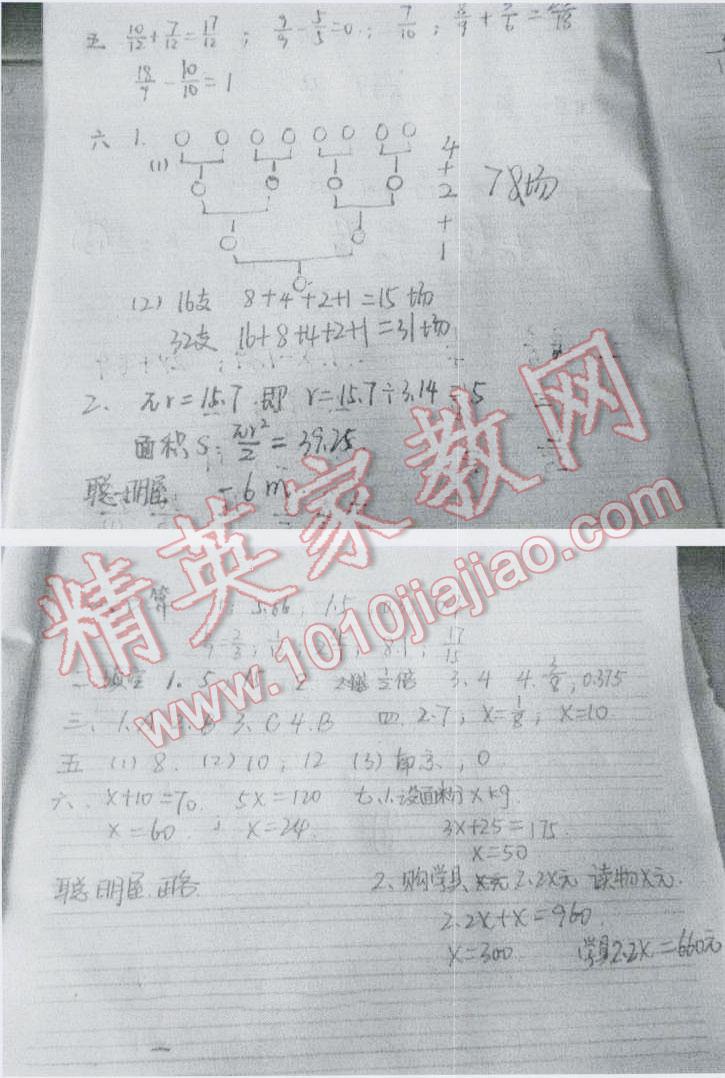 2016年学习与探究暑假学习五年级 第14页