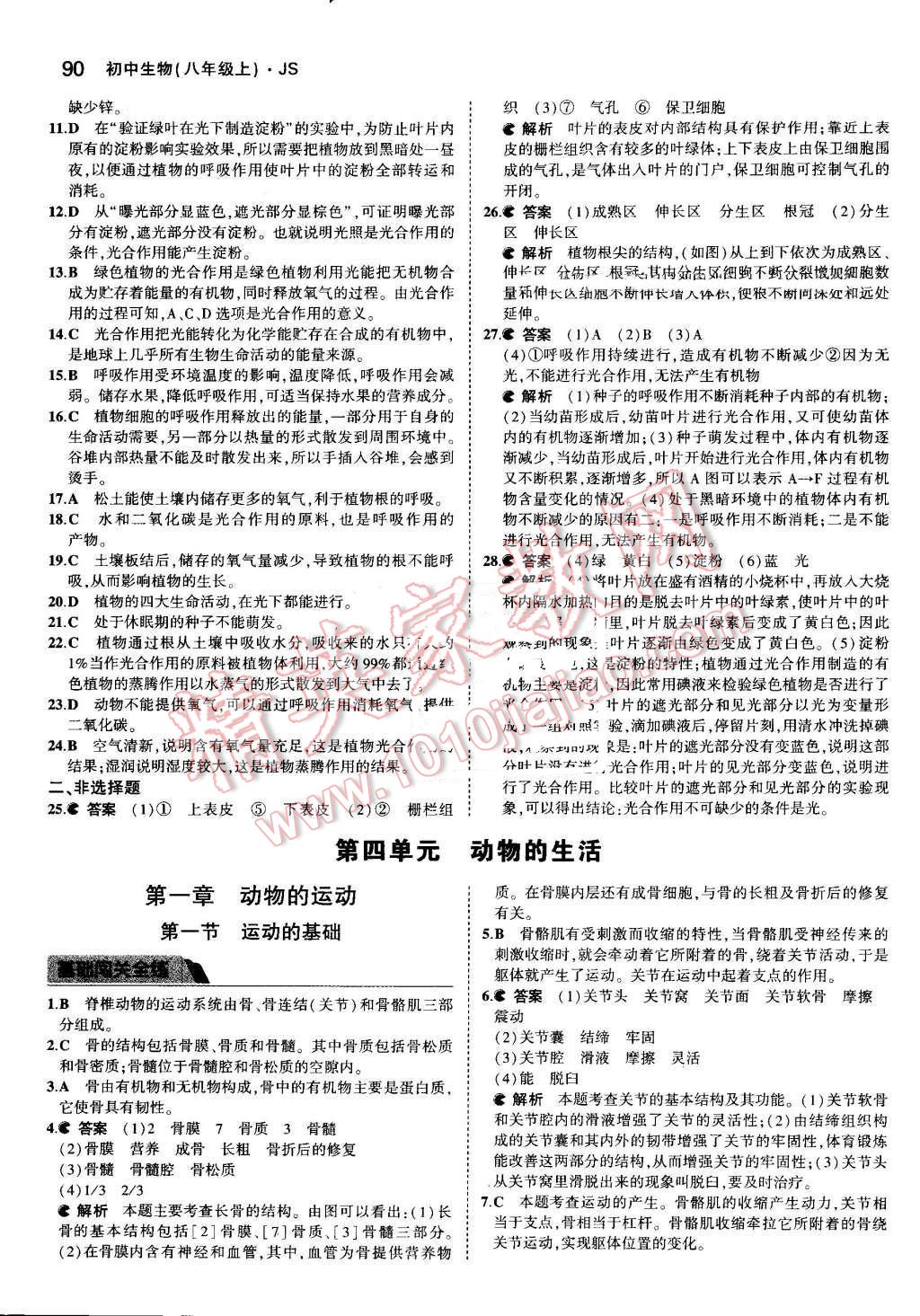 2016年5年中考3年模擬初中生物八年級上冊江蘇版 參考答案第17頁