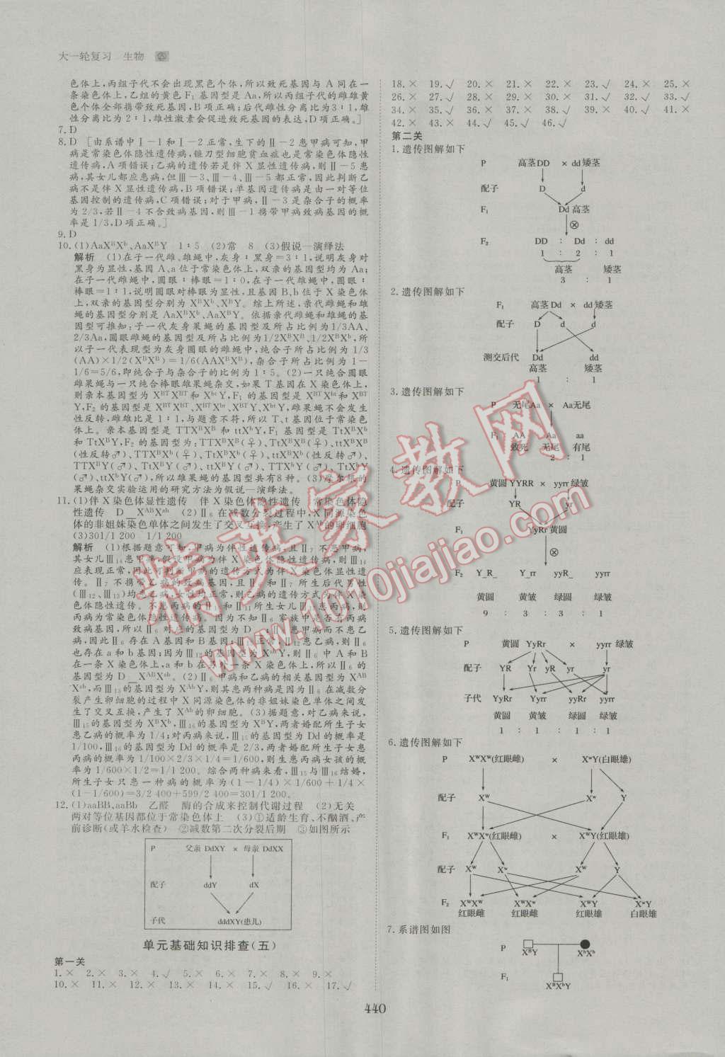 2017年步步高大一轮复习讲义生物 第51页