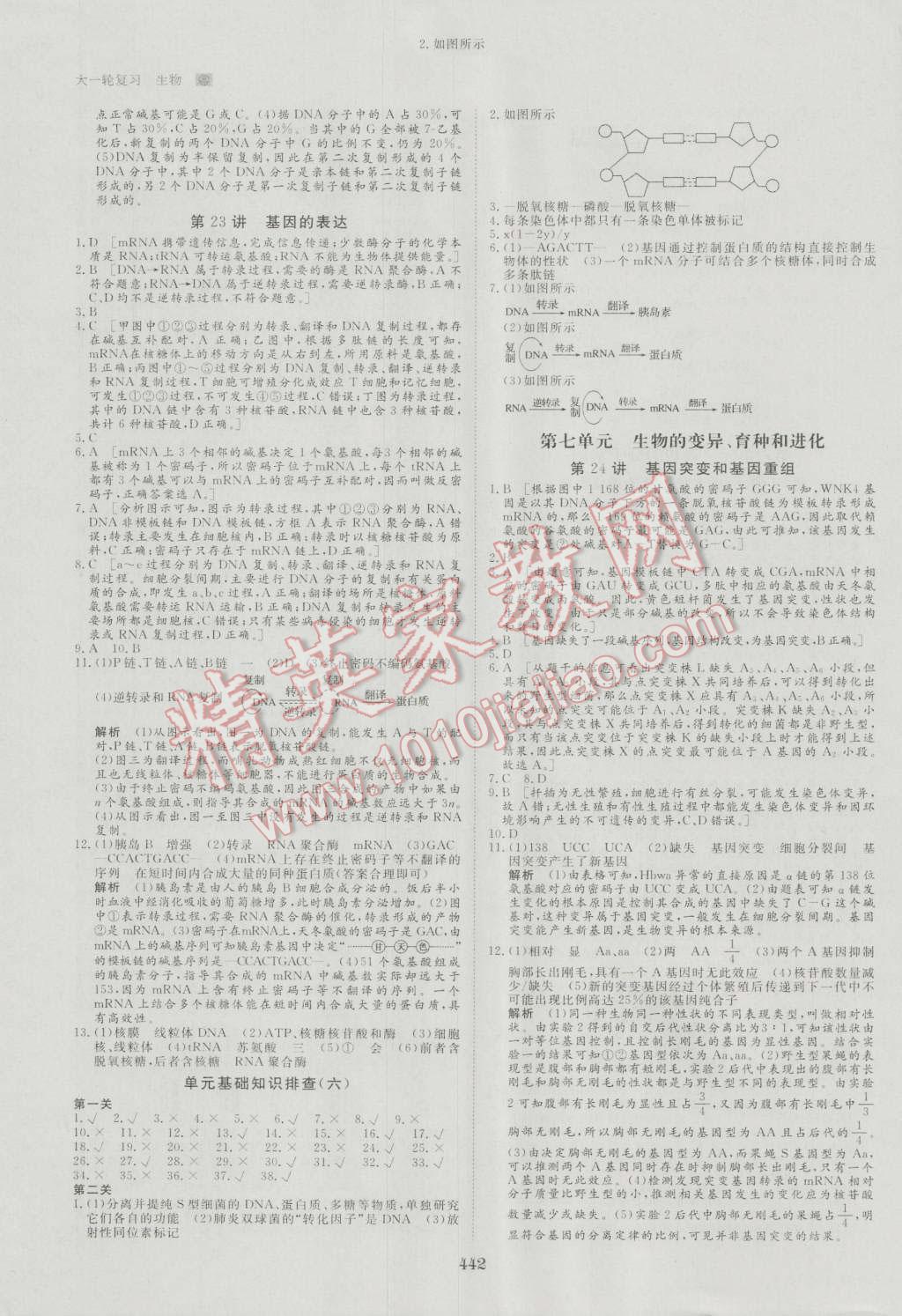 2017年步步高大一輪復習講義生物 第53頁