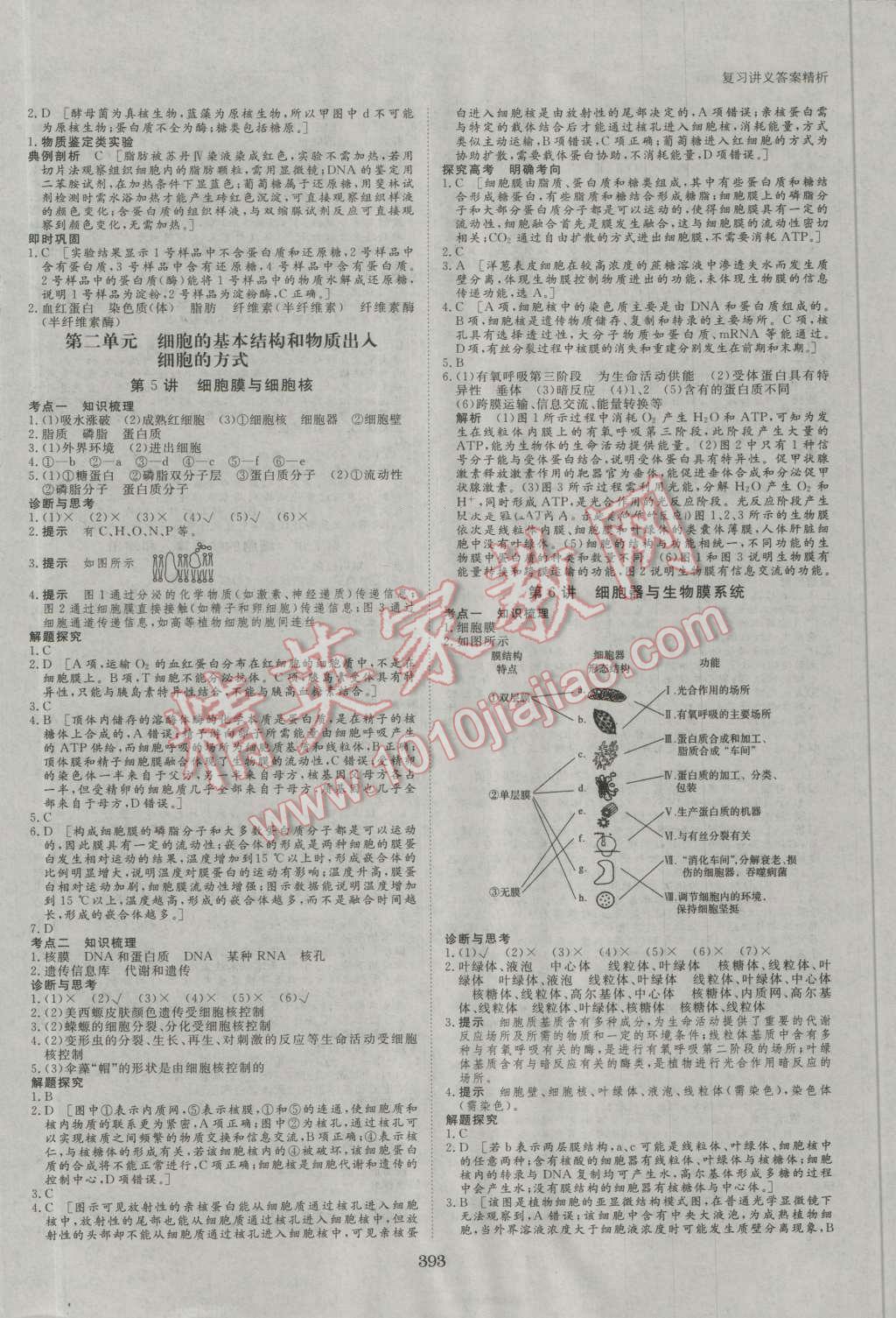 2017年步步高大一輪復(fù)習(xí)講義生物 第4頁