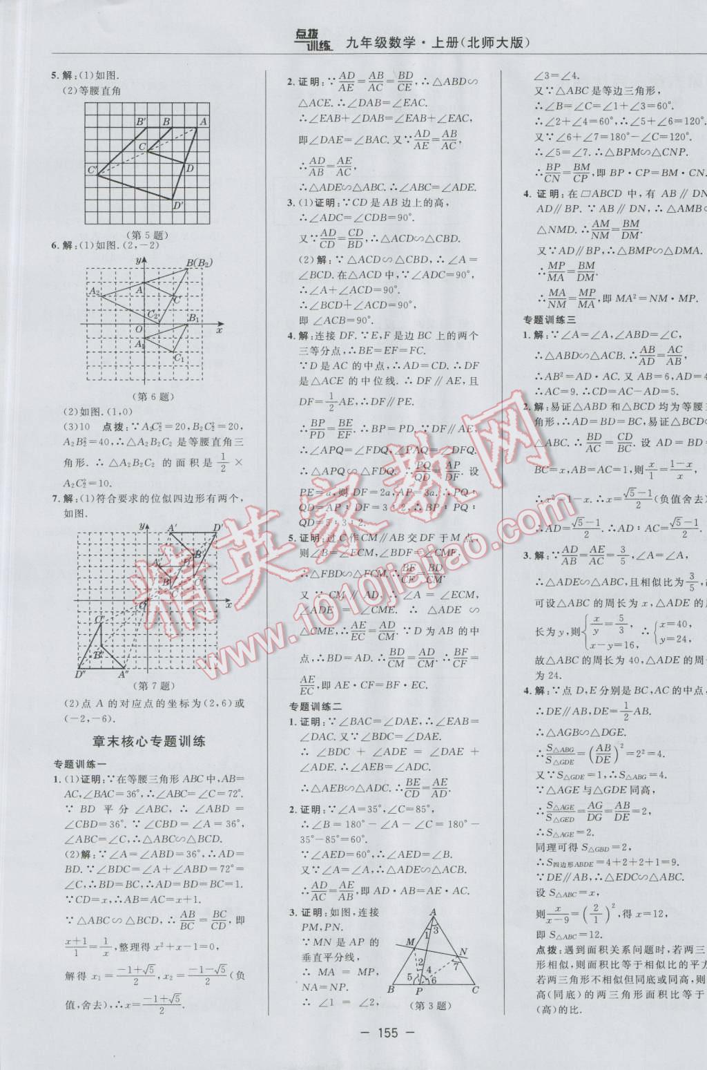 2016年點撥訓練九年級數(shù)學上冊北師大版 參考答案第25頁