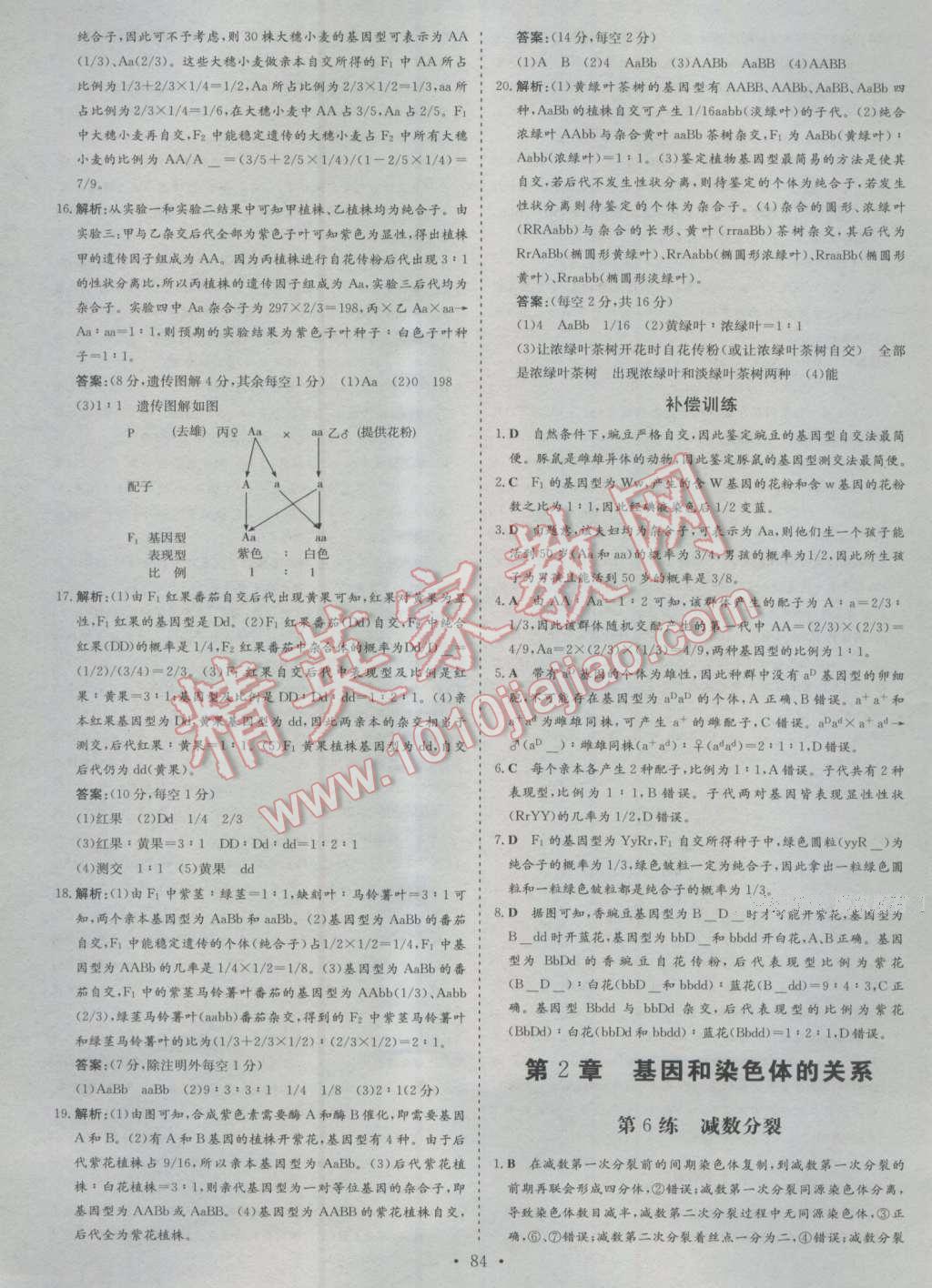 小題巧練生物必修2人教版 第6頁