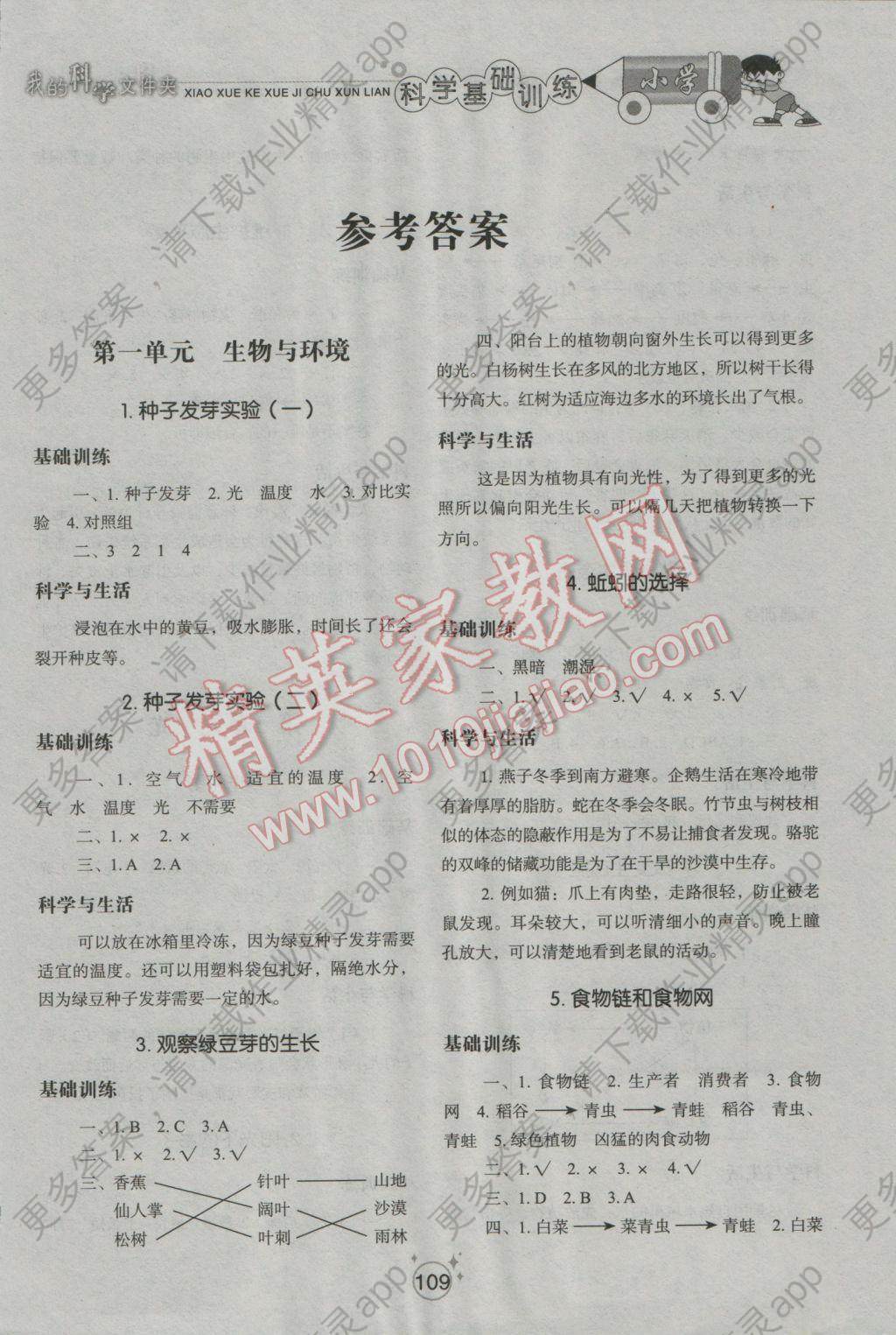 小学基础训练五年级科学上册教科版山东教育出