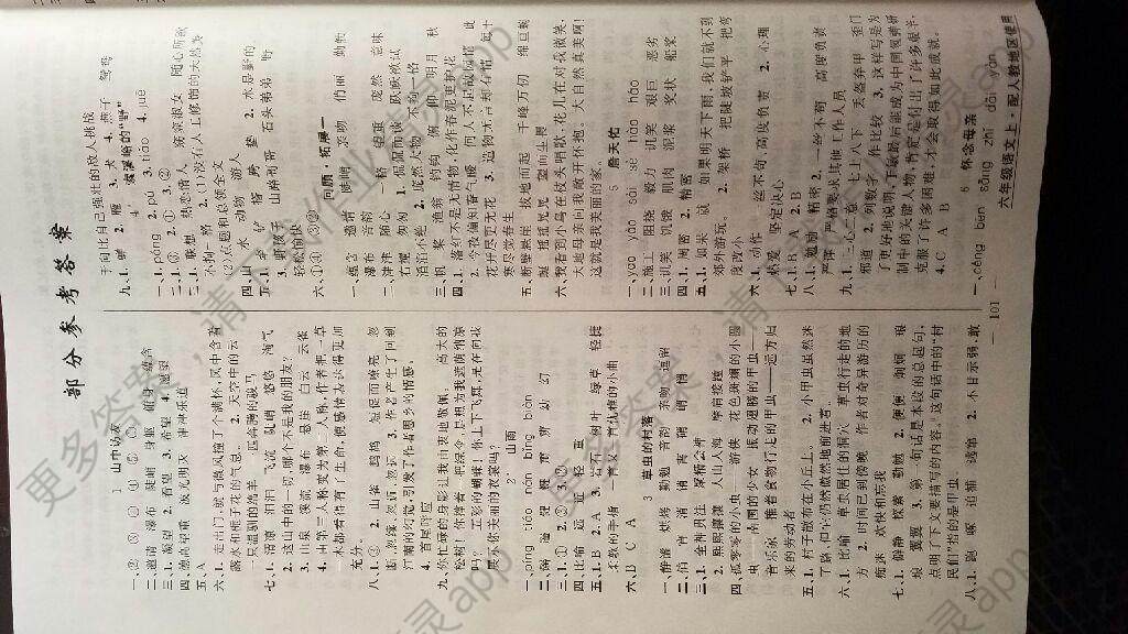 2016年新领程小学数学六年级上册人教版答案