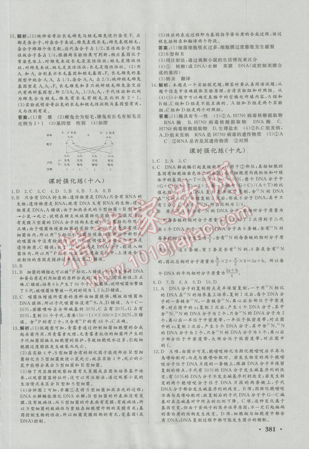 課堂新坐標(biāo)高三一輪總復(fù)習(xí)生物人教版 分層練測(cè)卷第16頁