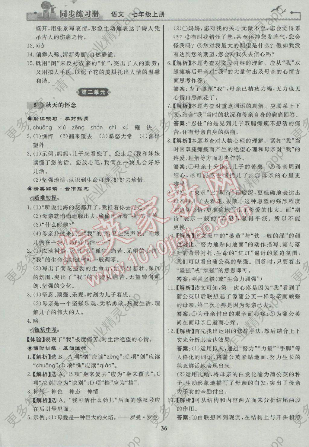 2016年同步练习册七年级语文上册人教版人民教育出版社答案