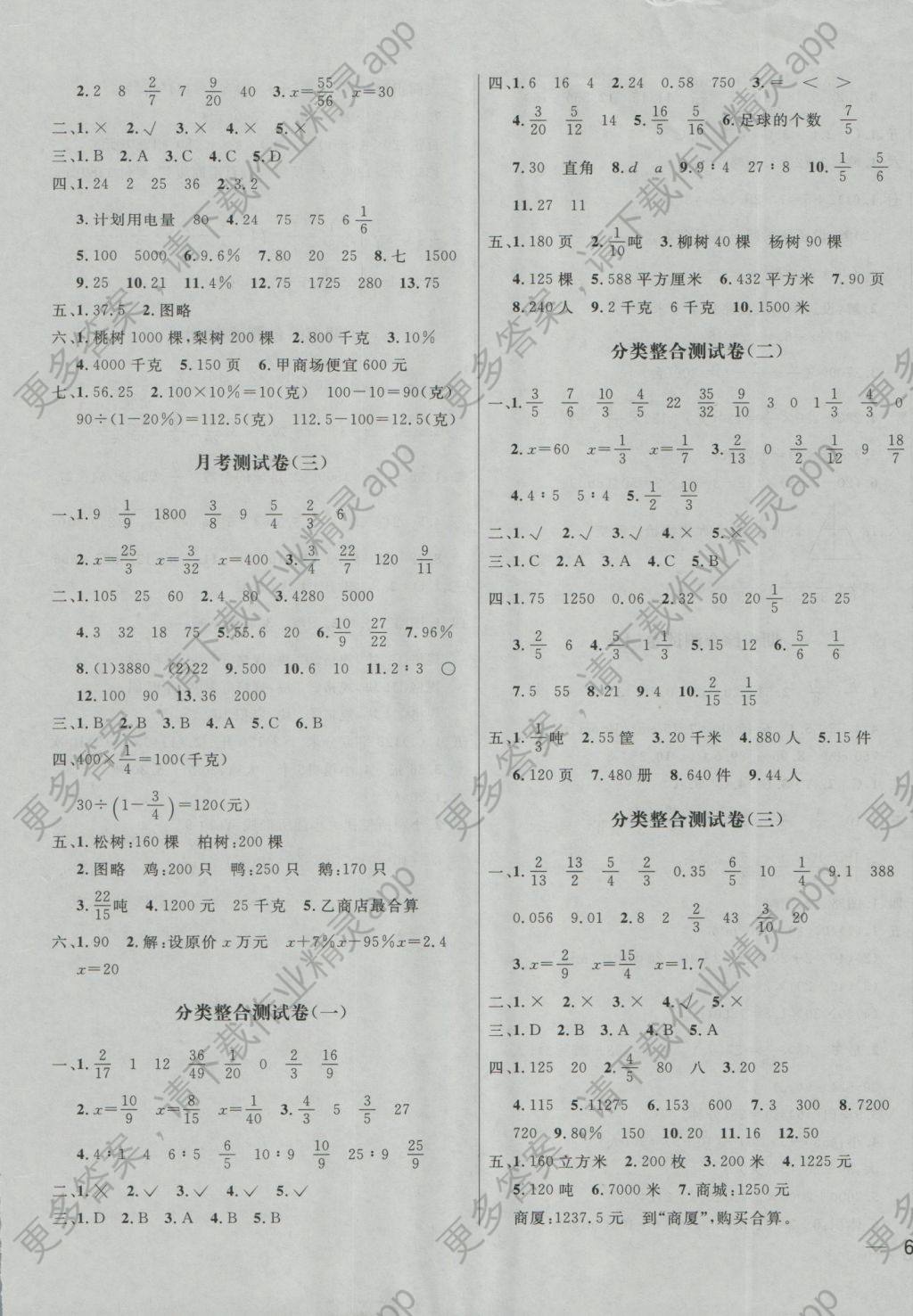 2016年亮点给力大试卷六年级数学上册江苏版 参考答案第5页