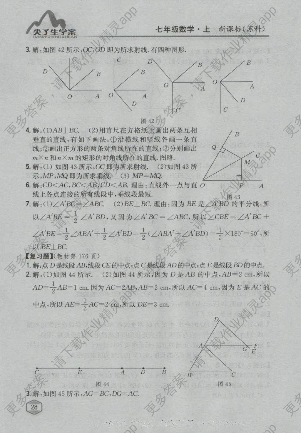 课本苏科版七年级数学上册 参考答案第53页