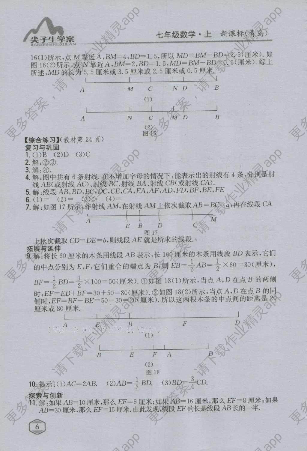 课本青岛版七年级数学上册 参考答案第5页