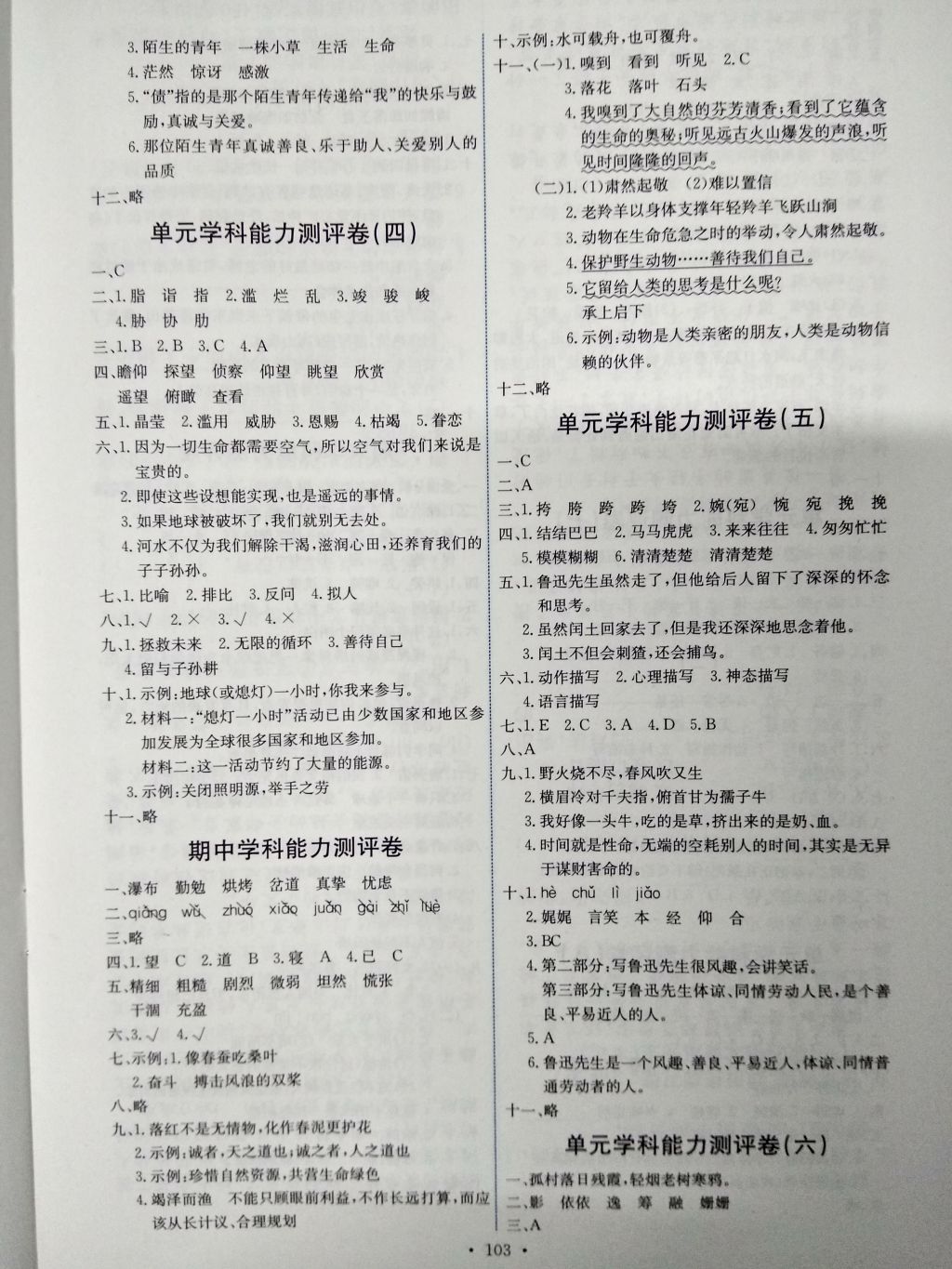 2016年能力培养与测试六年级语文上册人教版H 参考答案第11页